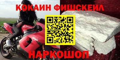 крисы Новодвинск
