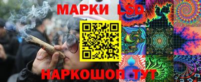 крисы Новодвинск