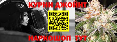 крисы Новодвинск