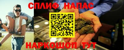 крисы Новодвинск