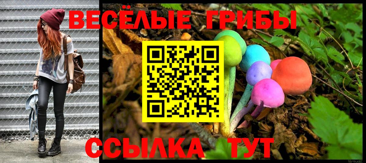 Псилоцибиновые грибы MAGIC MUSHROOMS Ставрополь