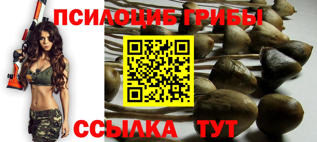 Псилоцибиновые грибы Psilocybe  Вход с VPN  Ставрополь  Псилоцибиновые грибы Cubensis 